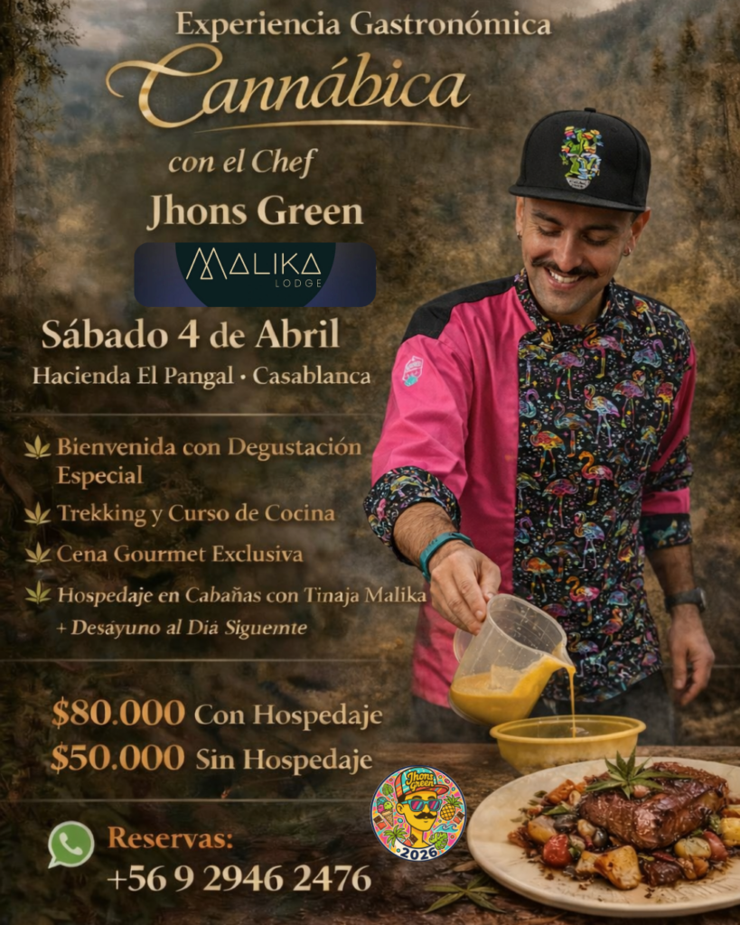Experiencia Gastronomica Experimental